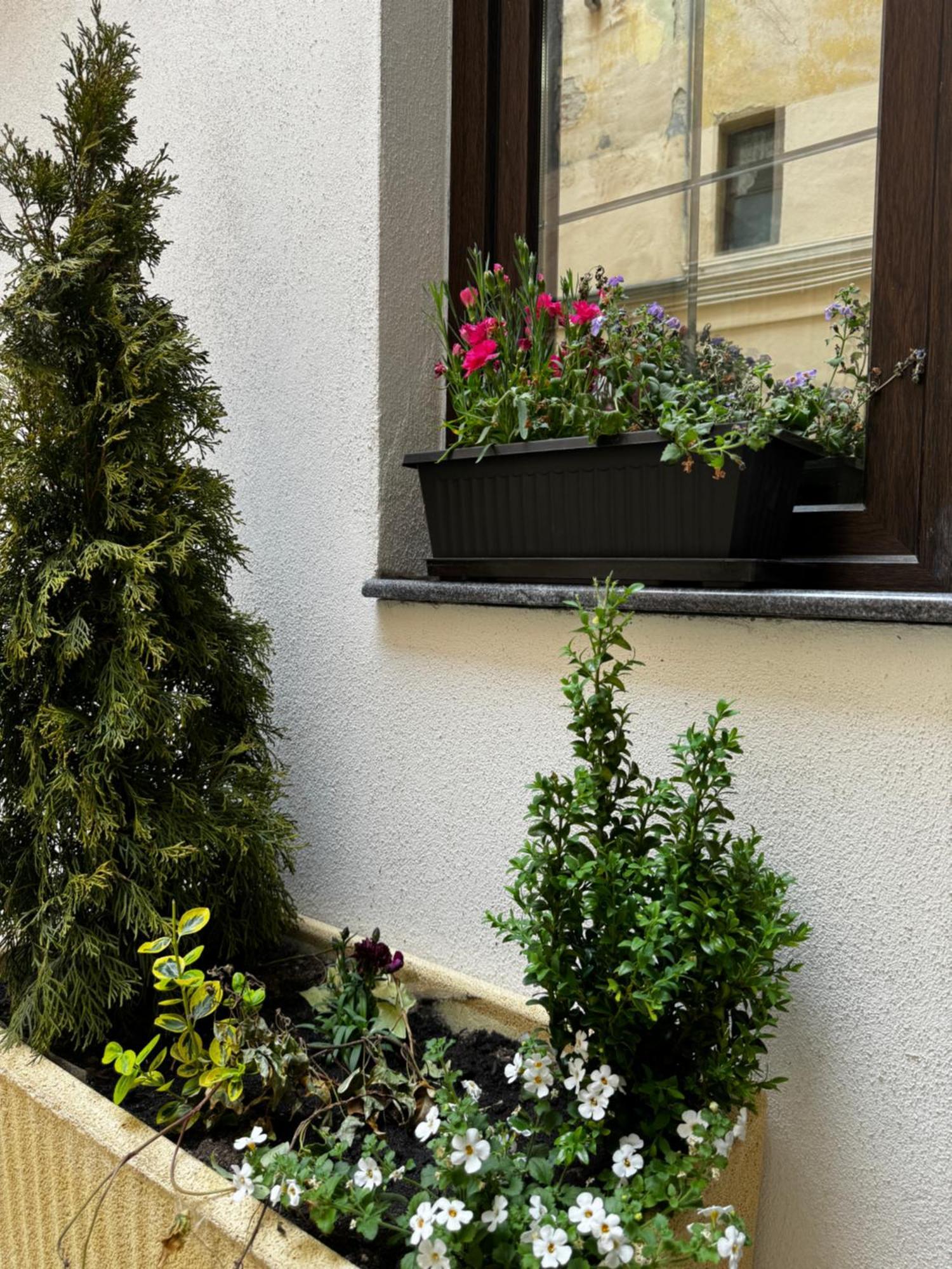 Apartment Balcescu Sibiu